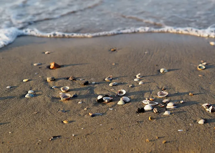 Апартаменты Lovely Flat Next To Lido Dei Pini-beahost *