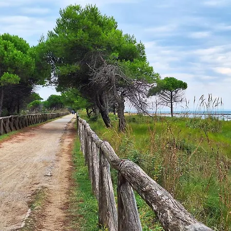 Lovely Flat Next To Lido Dei Pini-beahost Appartamento
